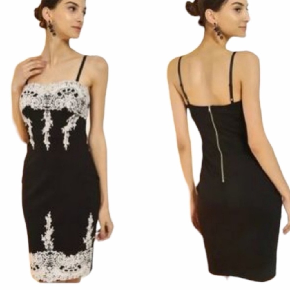 NWT Haute Monde Black and Cream Lace Midi Dress